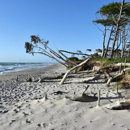Διαμέρισμα Am Kurstrand